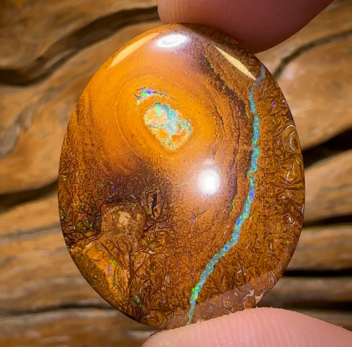 39.9cts - Yowah Nut Tribal Kernel Opal. Double Sided!