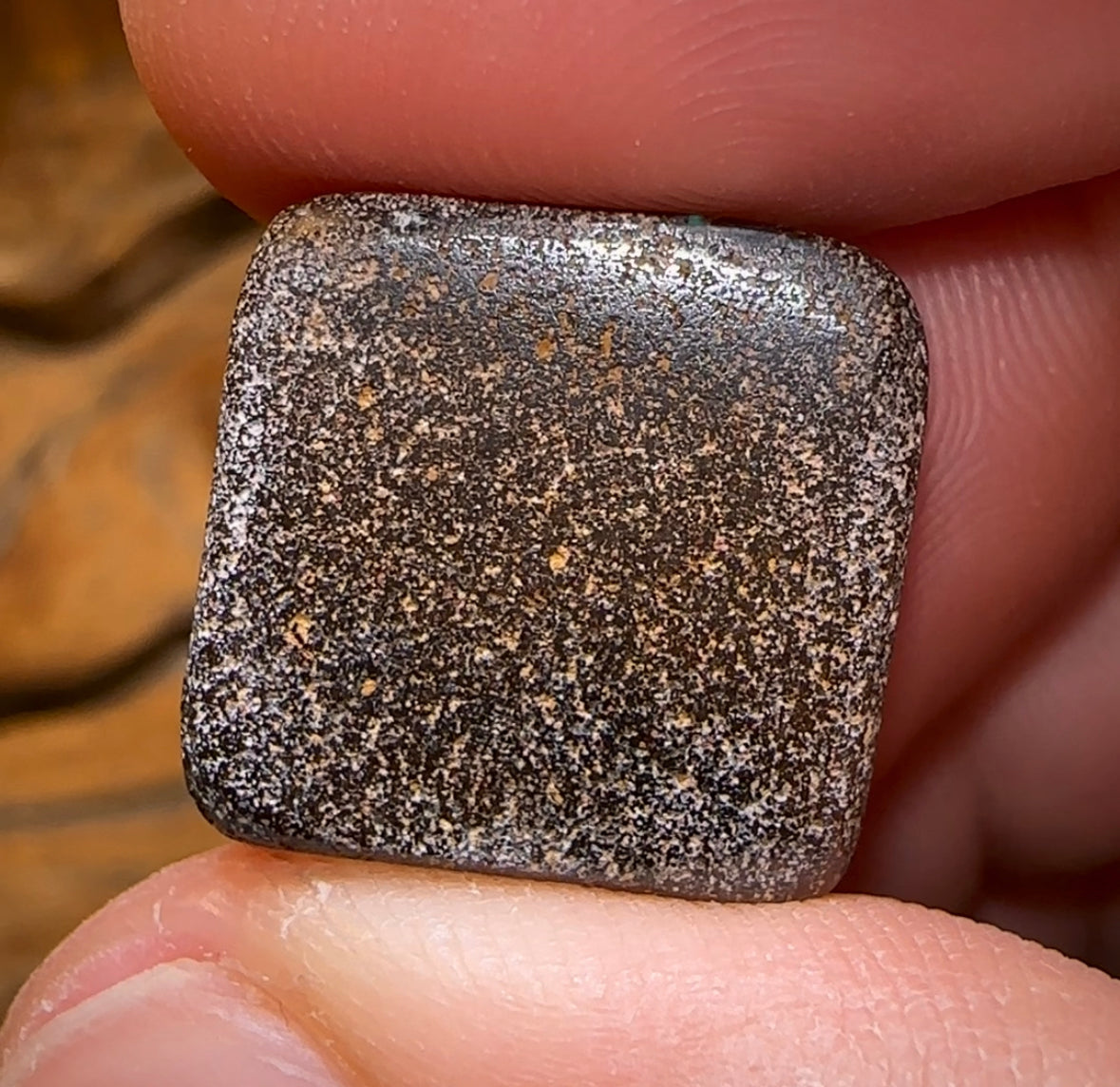 19.8cts - “Aquatic Rectangle” Queensland Boulder Opal from Winton - Opal Whisperers