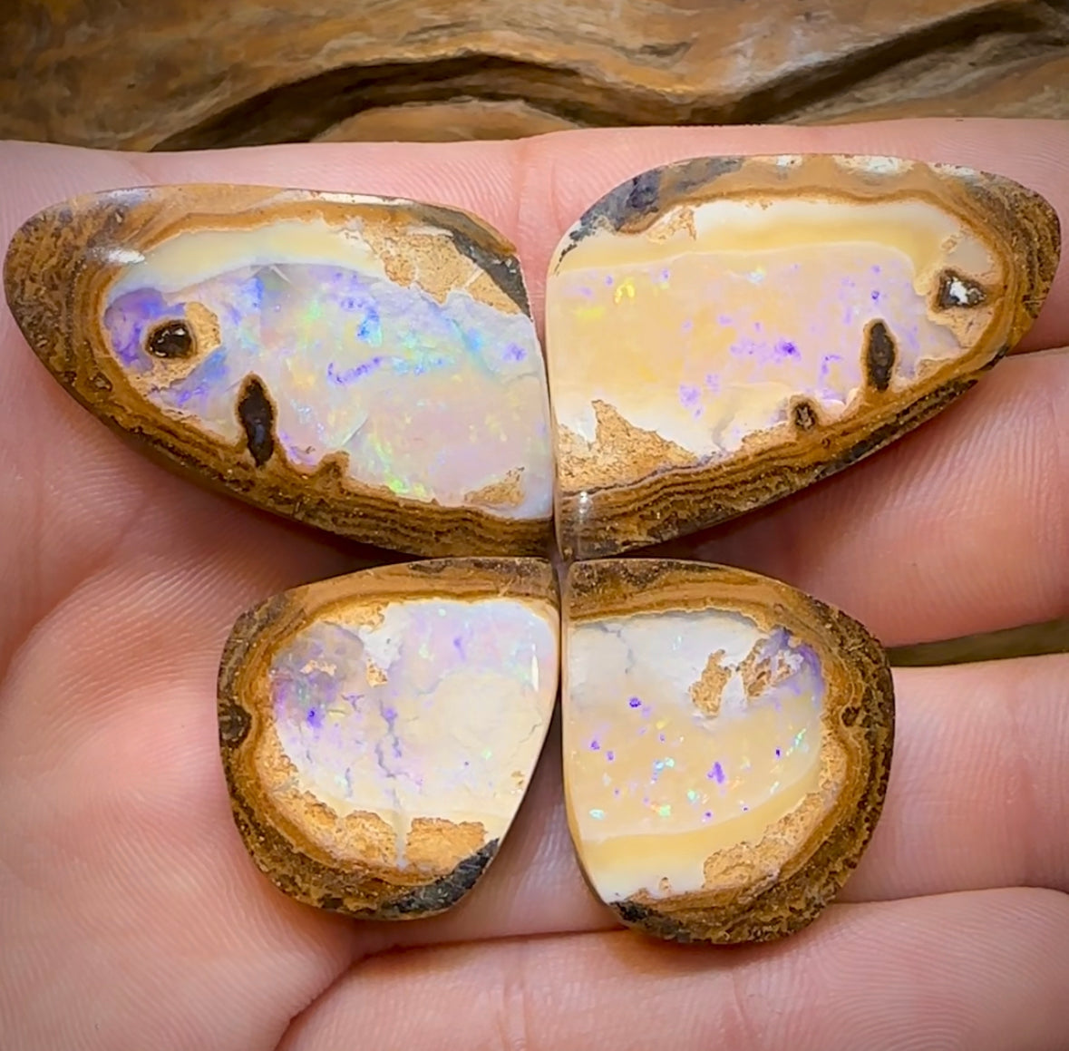167.1cts - ‘Tiger Moth’ Yowah Nut Crystal Centre Opal Twin Pair - Opal Whisperers
