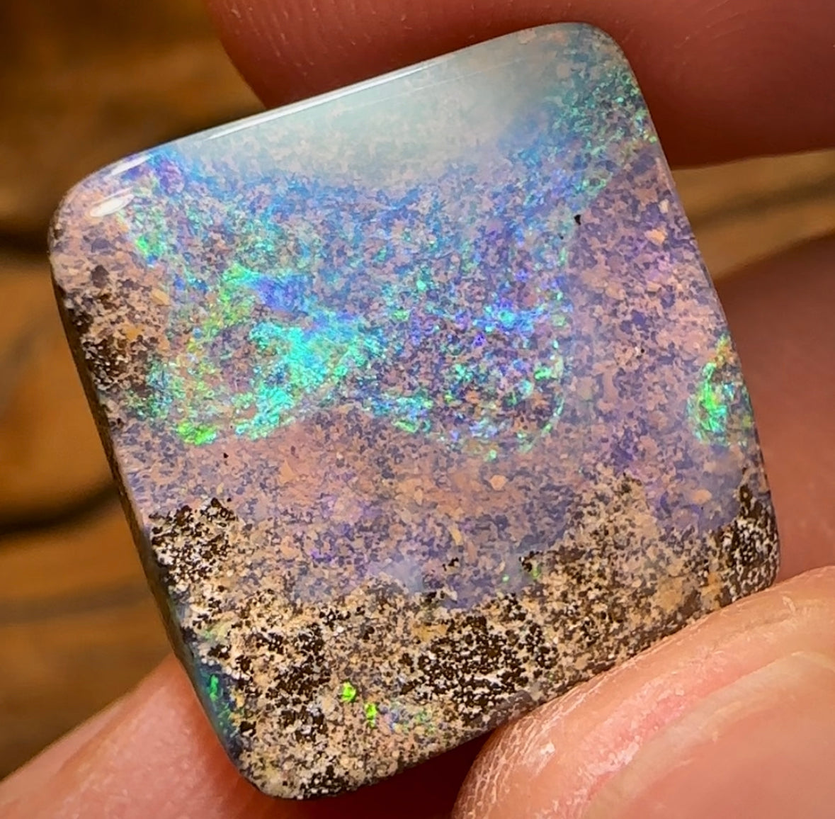 19.8cts - “Aquatic Rectangle” Queensland Boulder Opal from Winton - Opal Whisperers