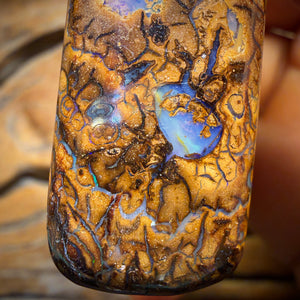39 x 18mm - Drilled Tribal Queensland Boulder Opal Necklace