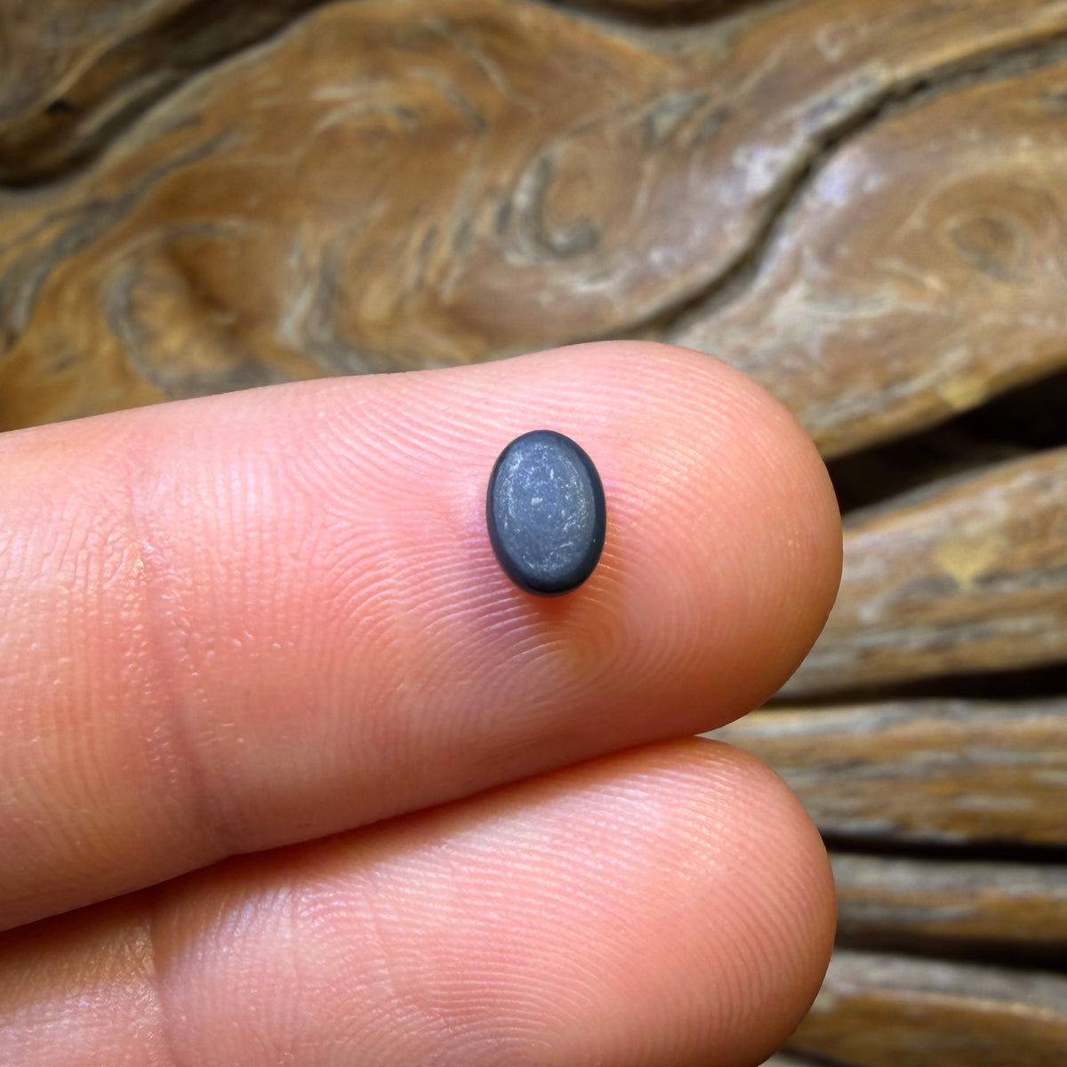 0.2cts -Lightning Ridge Black Opal