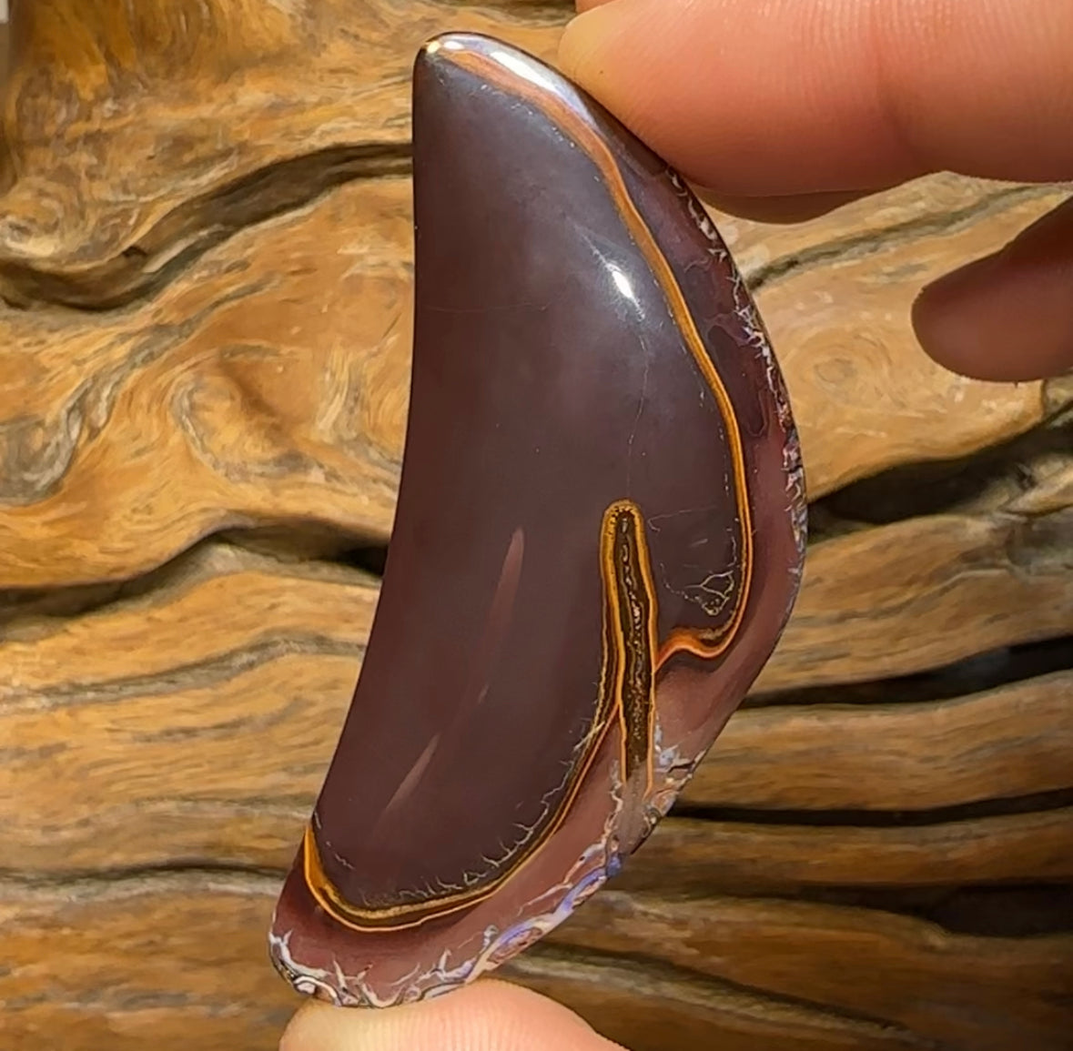 177.2cts - Queensland Boulder Australian Opal Specimen - Opal Whisperers