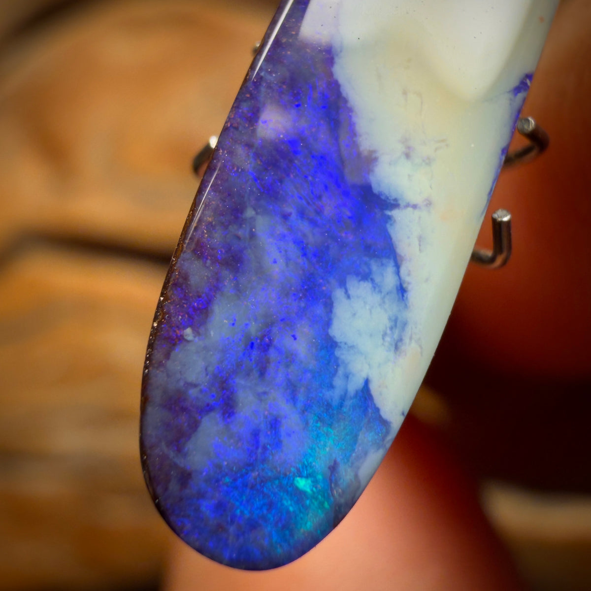 Bargain Card! 7.5cts - Australian Boulder Seam Opal
