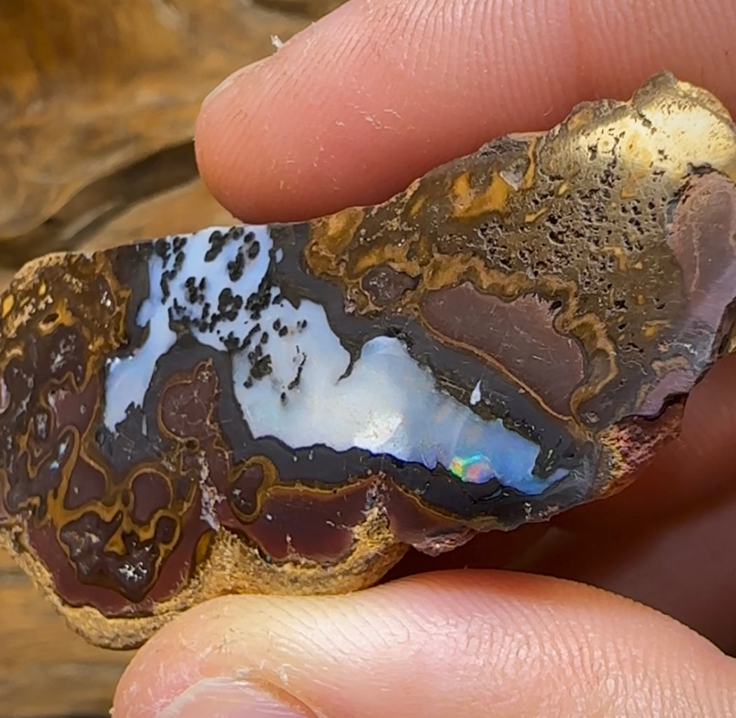 166cts - Yowah Nut Opal Polished Partial Kernel Specimen - Opal Whisperers