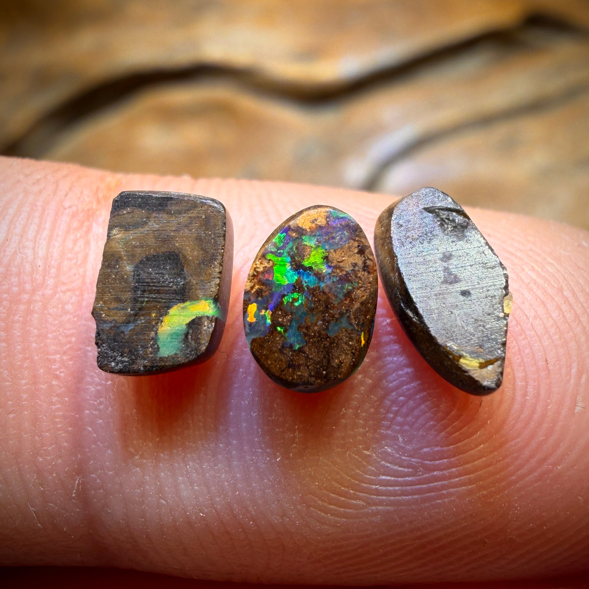 2.6cts - 3x Australian Boulder Opal’s. Wholesale Parcel