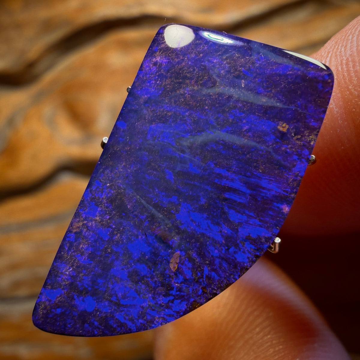 13.1cts - Top Australian Boulder Seam Opal from Winton