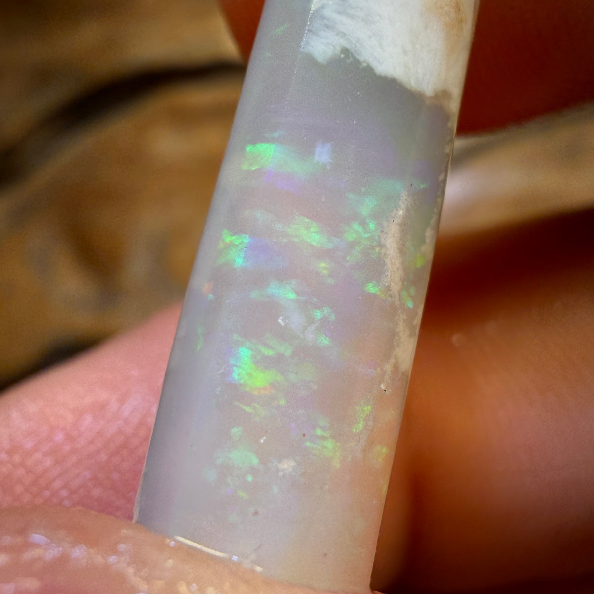 10.1cts - Opalised Belemnite Geological Specimen from South Australia