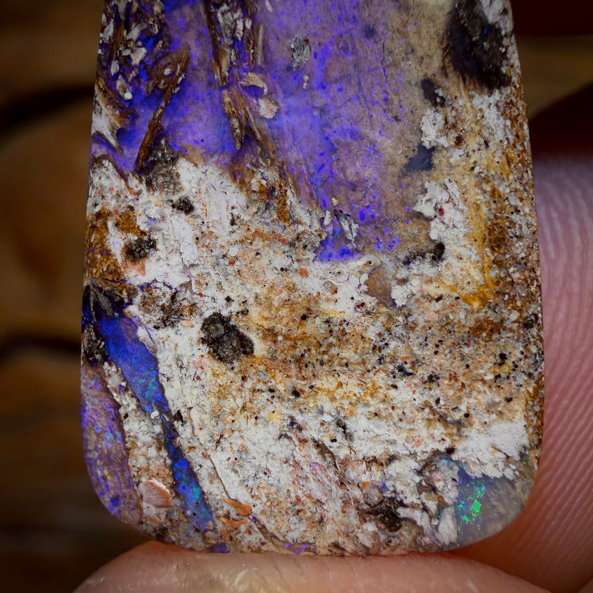 14,9 ct - Opale boulder australienne massive, pierre récifale aquatique