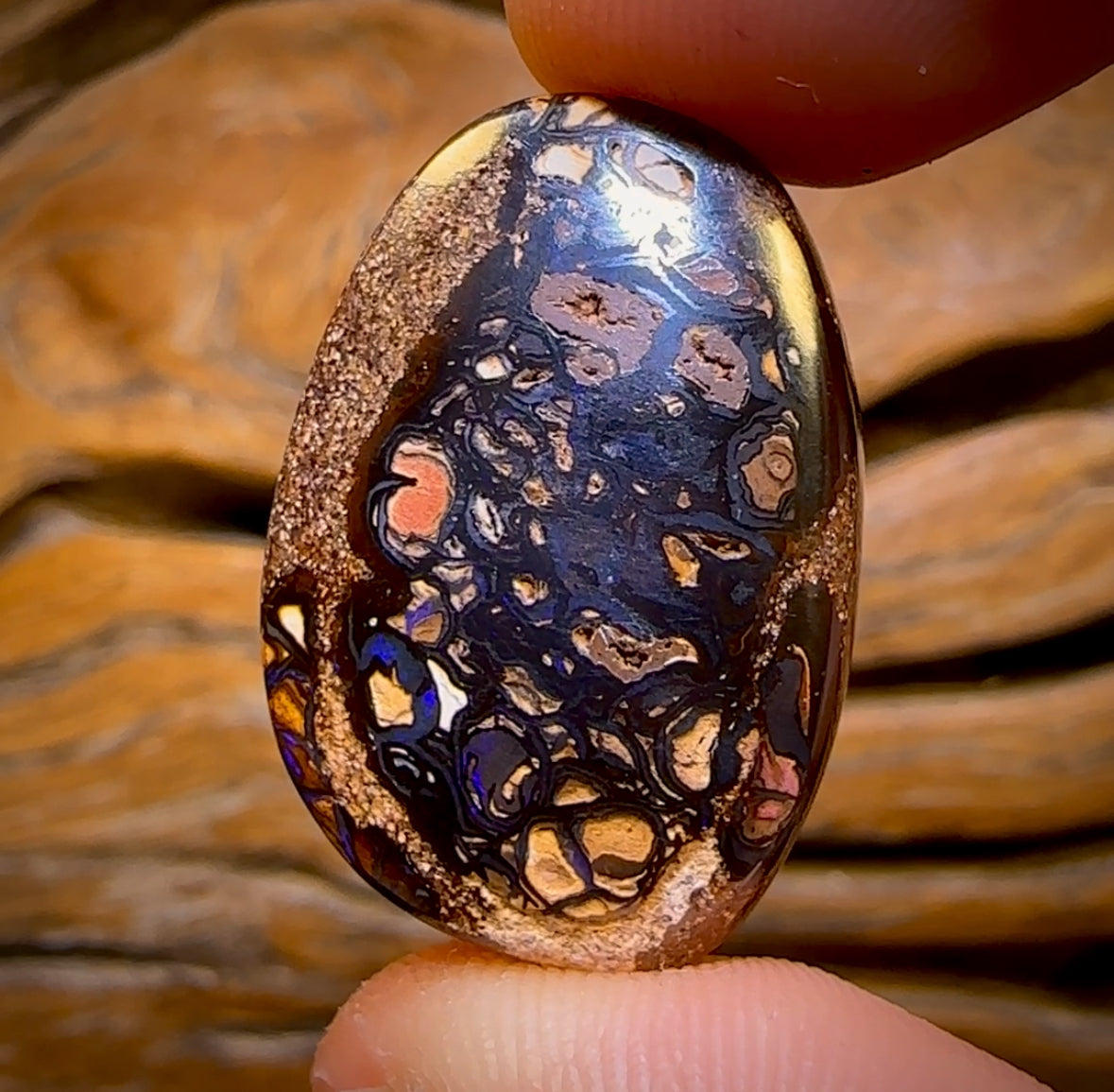 42.7cts - RARE Koroit Nut Crystal Centre Opal