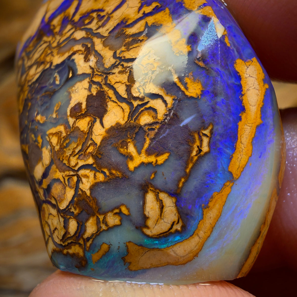 66,5 cts – OPALE TRIBALE YOWAH NUT BRUTE DE FROTTEMENT. Présentée dans « OUTBACK OPAL HUNTERS » !!