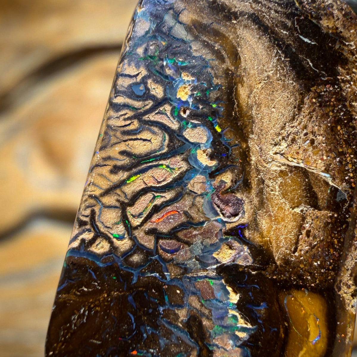 Solid Tribal Queensland Boulder Opal Pendant