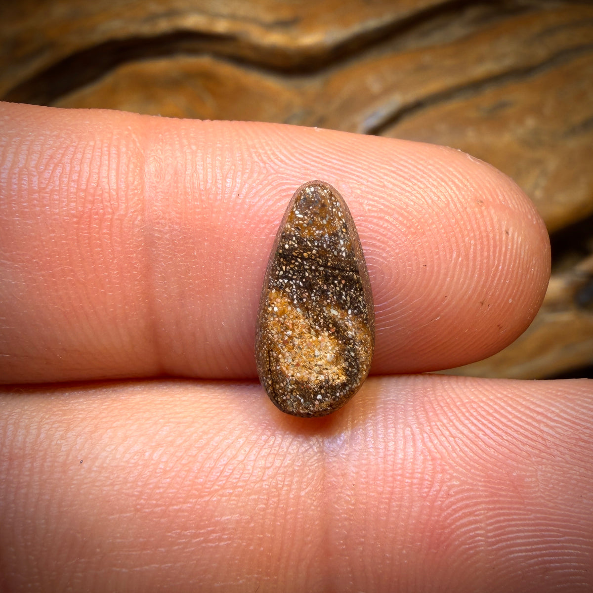 2.8cts - Top Electric Rainbow Queensland Boulder Seam Opal