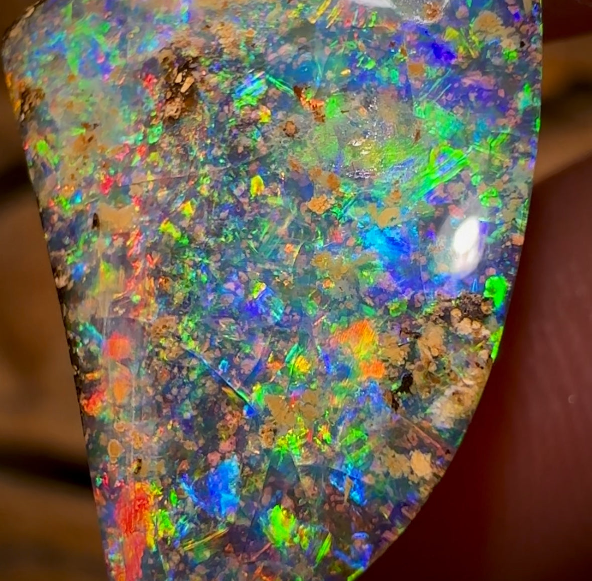 18.8cts - GEM Queensland Boulder Seam Opal. MULTICOLOURS! Banger
