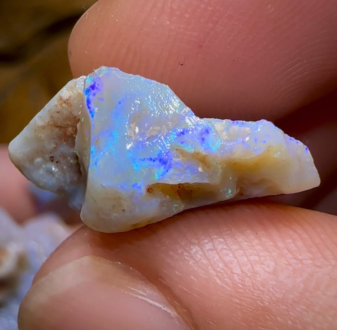 109cts - 10x Lightning Ridge Crystal and Dark Opal Rough Parcel - Opal Whisperers