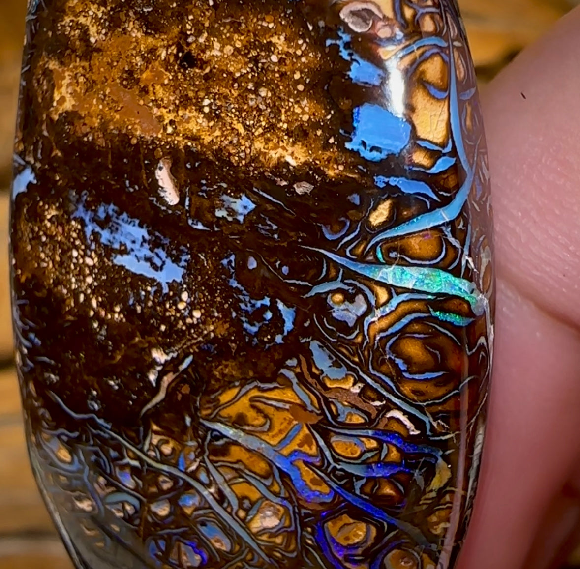 114.2cts - Yowah Nut Dark Tribal Opal Bargain - Opal Whisperers