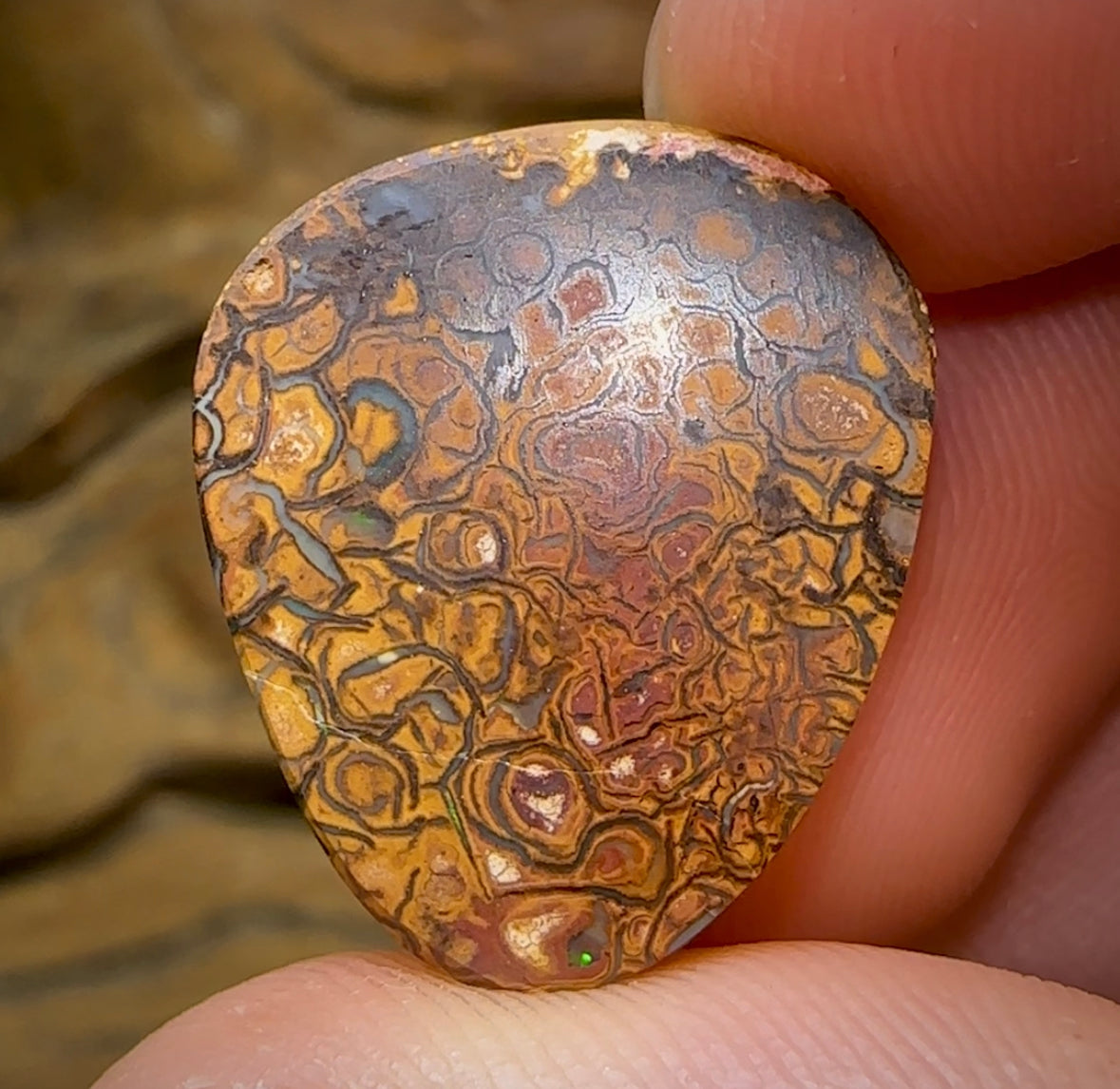 20.8cts - Yowah Nut Opal. White Porcelain Tribal Pattern - Opal Whisperers