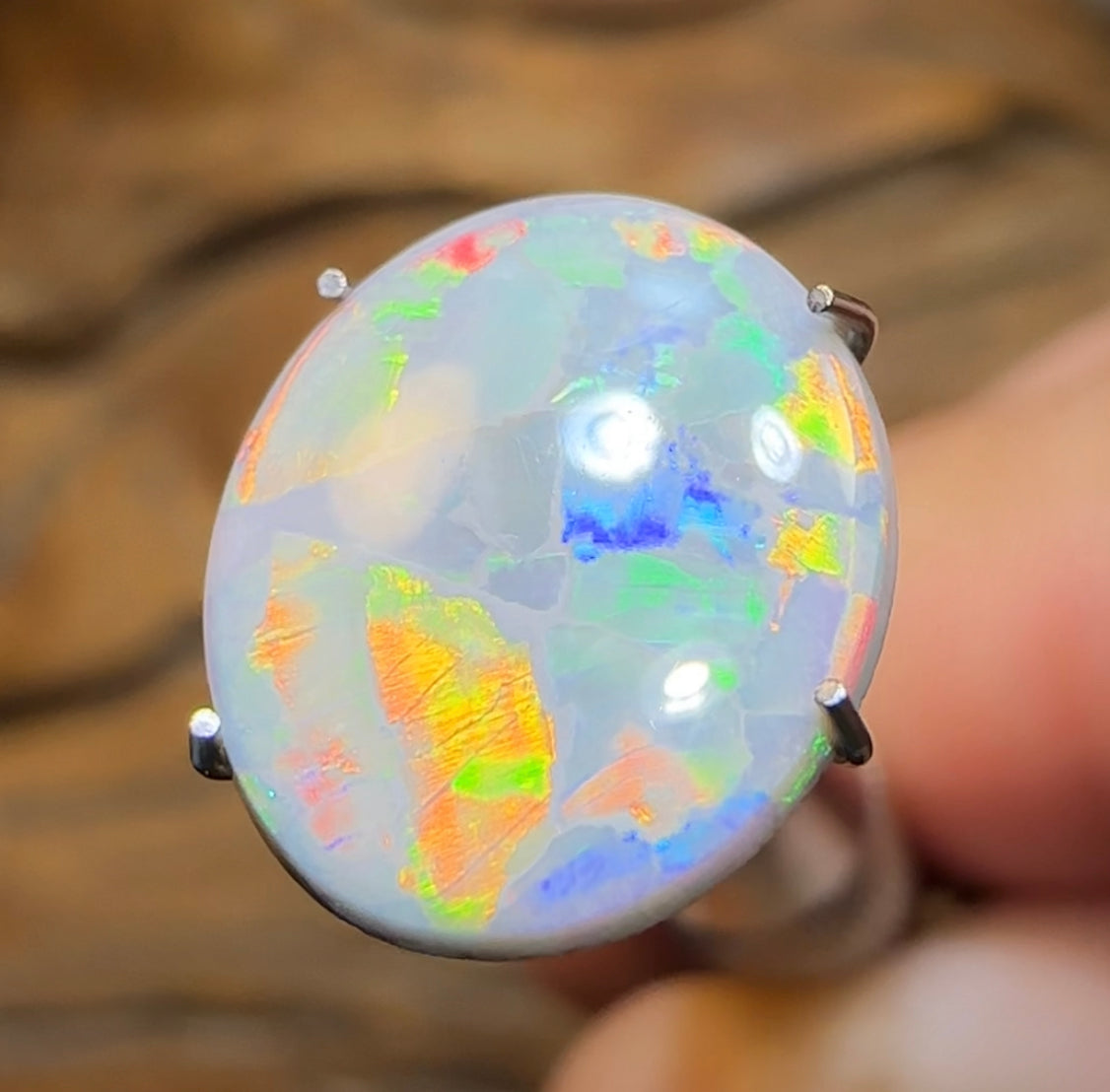 2.6cts - Australian Semi Black Opal from Lightning Ridge Flag / Harlequin type Pattern - Opal Whisperers