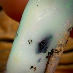 43.1cts - Large Solid Australian Boulder Pipe Opal