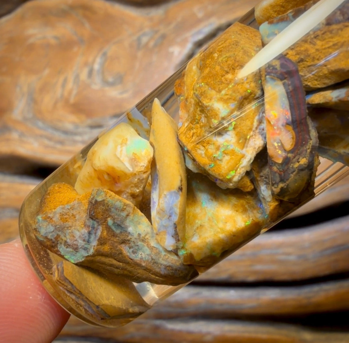 121,8 ct – Phiole mit Yowah-Nussopal-Rohstein und fossilem Opal