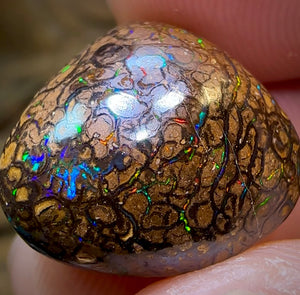 16.6cts - Yowah Nut Opal. Tribal Pattern