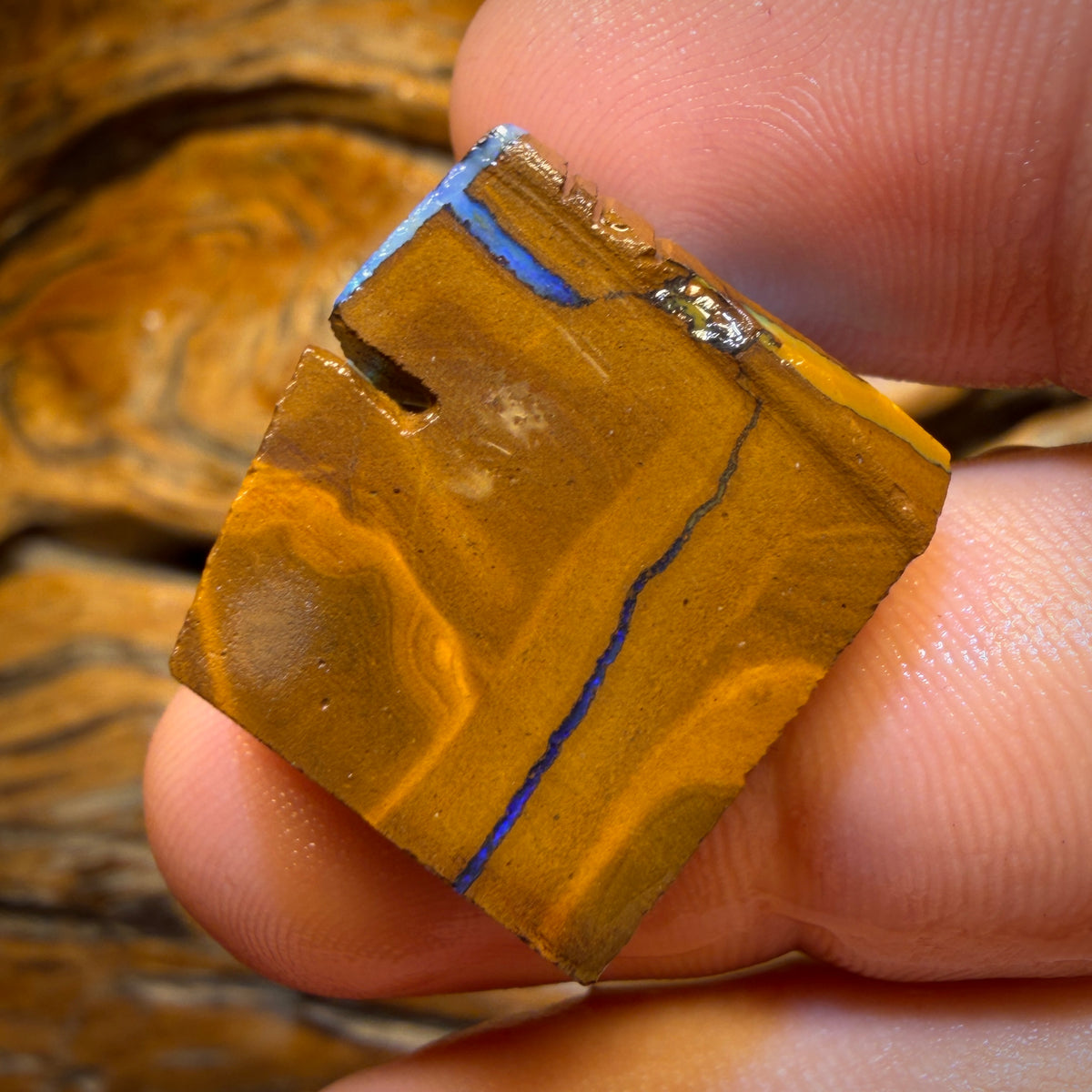 45.6cts - Queensland Boulder Seam Opal Rub