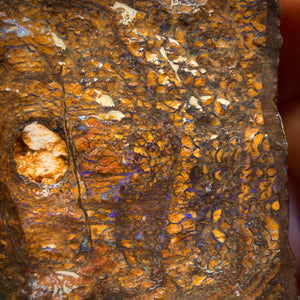 377.3cts - Top Seam + Tribal Queensland Boulder Opal Rough Piece
