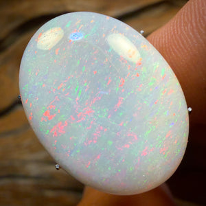 Wild Card! 13.1cts - South Australian White Opal from Coober Pedy