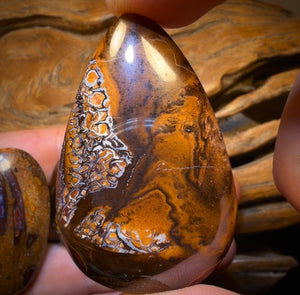 295.1cts - 3x Australian Tribal Boulder Opal’s. Wholesale Dealers Parcel $0.50c/ct