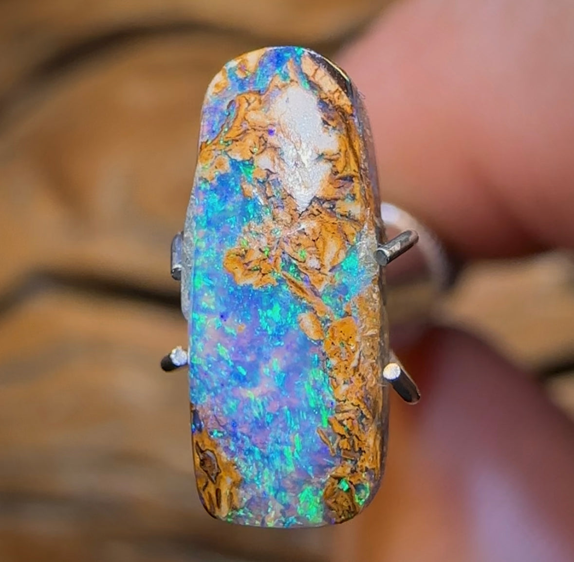 2,15 carats - Magnifique opale scandinave Yowah Nut Pipe, également appelée bleu glacier