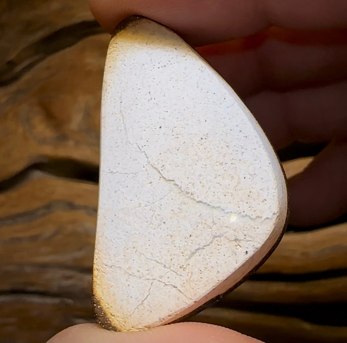 66.7cts - “Nebula” Wonderfully Large Queensland Boulder Seam Opal Picture Stone