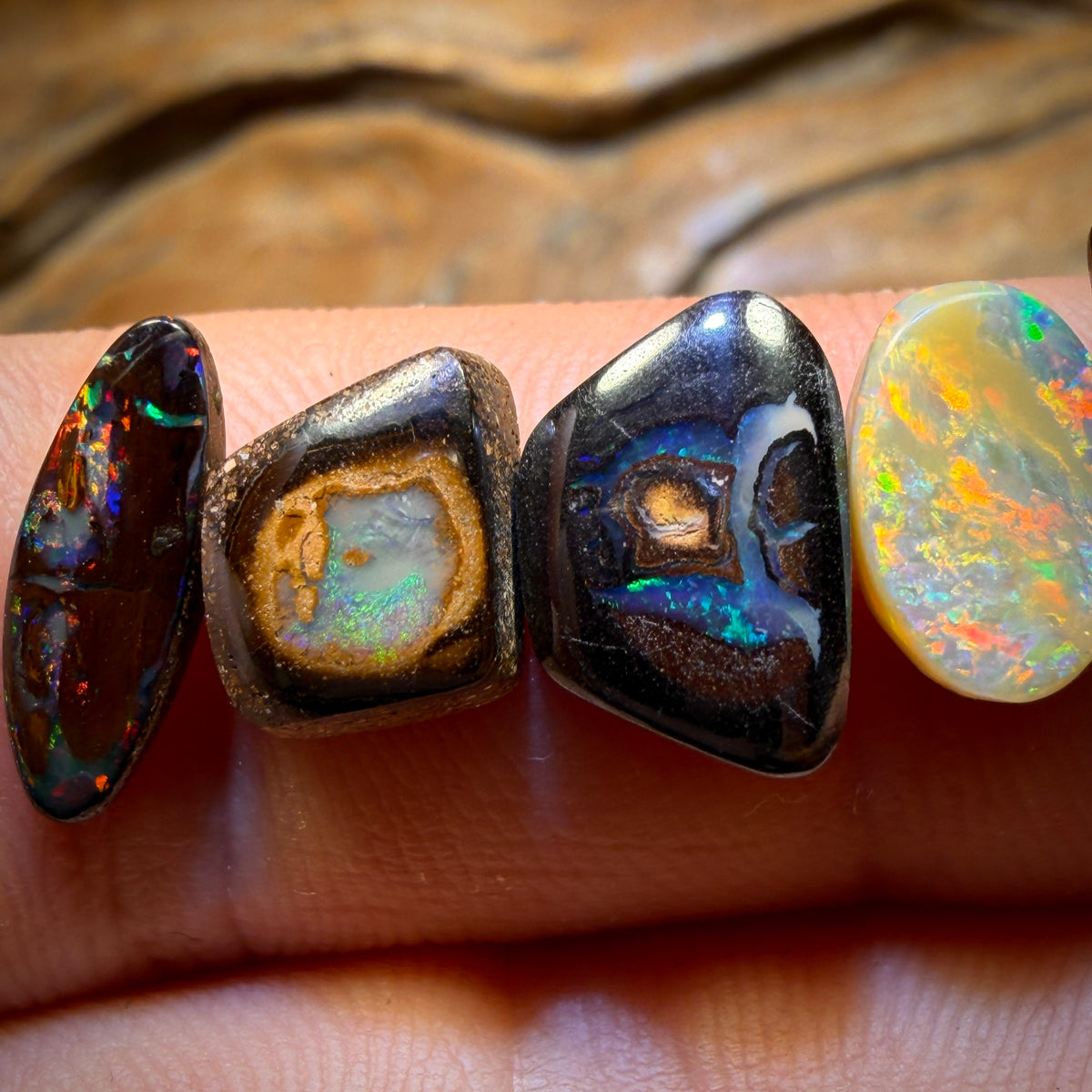 🔒15.4cts - 6x Australian Boulder Opal’s. Wholesale Dealers Parcel