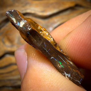 Wildcard! 34.4cts - “Super Bright Below?” Yowah Nut Bright Opal Rough Preform