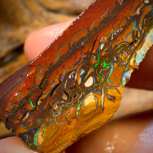 79.1cts - Tribal Yowah Nut Opal Rough Piece