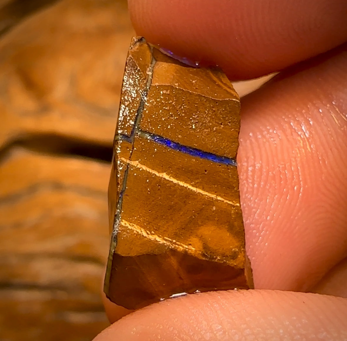 Bargain Card! 11.4cts - Queensland Boulder Seam Opal Rough Piece