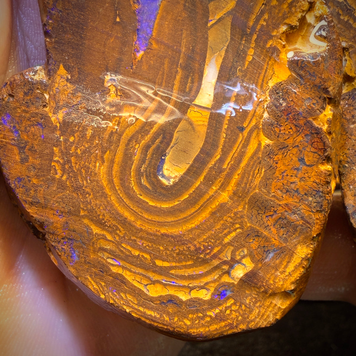 1423cts - Awesome Massive Split Queensland Boulder Opal Rough Pair. Found on ‘Outback Opal Hunters’!