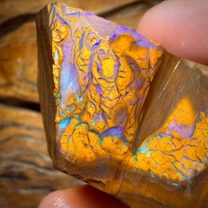 TGIF 237.7cts - Tribal Yowah Nut Opal Rough Preform Rub