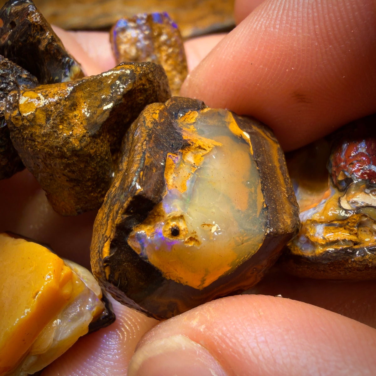 🔨 AUCTION 🔨 465cts - 11x Yowah Nut Rough Opal Parcel. Australian Boulder Opal