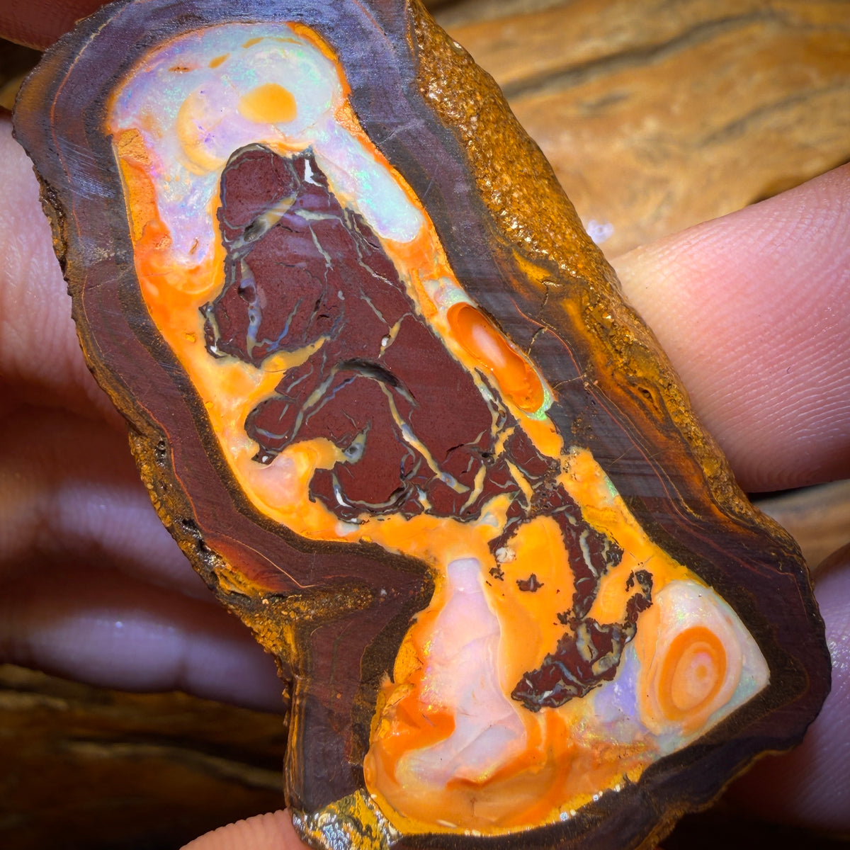 310.5cts - Yowah Nut Partial Crystal Centre Rough Specimen Pair