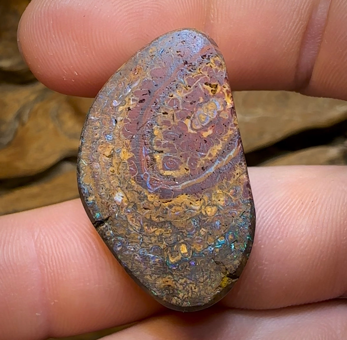 66.4cts - Yowah Nut Tribal. Australian Boulder Opal - Opal Whisperers