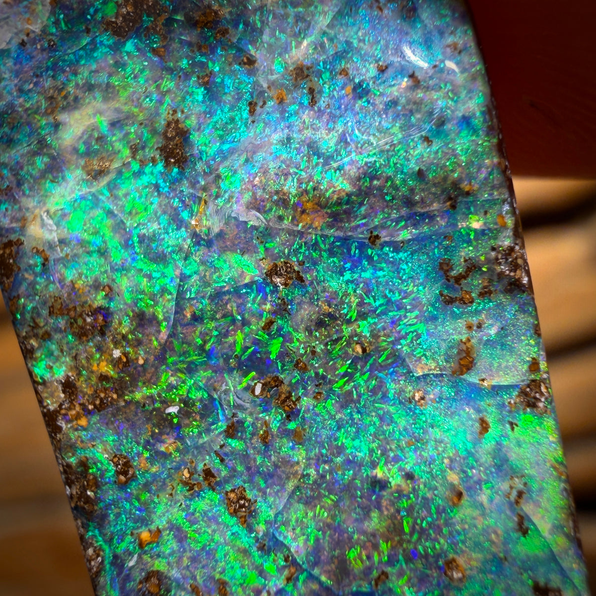 Banger Card! 21.1cts - Top Reef Pattern Queensland Boulder Seam Opal