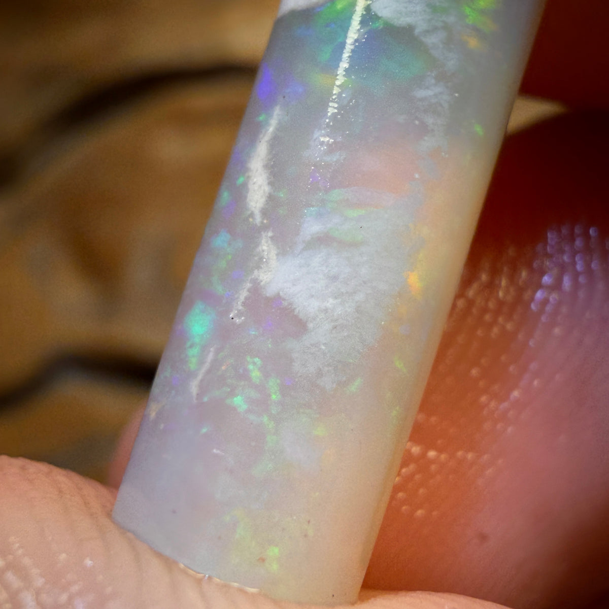 10.1cts - Opalised Belemnite Geological Specimen from South Australia
