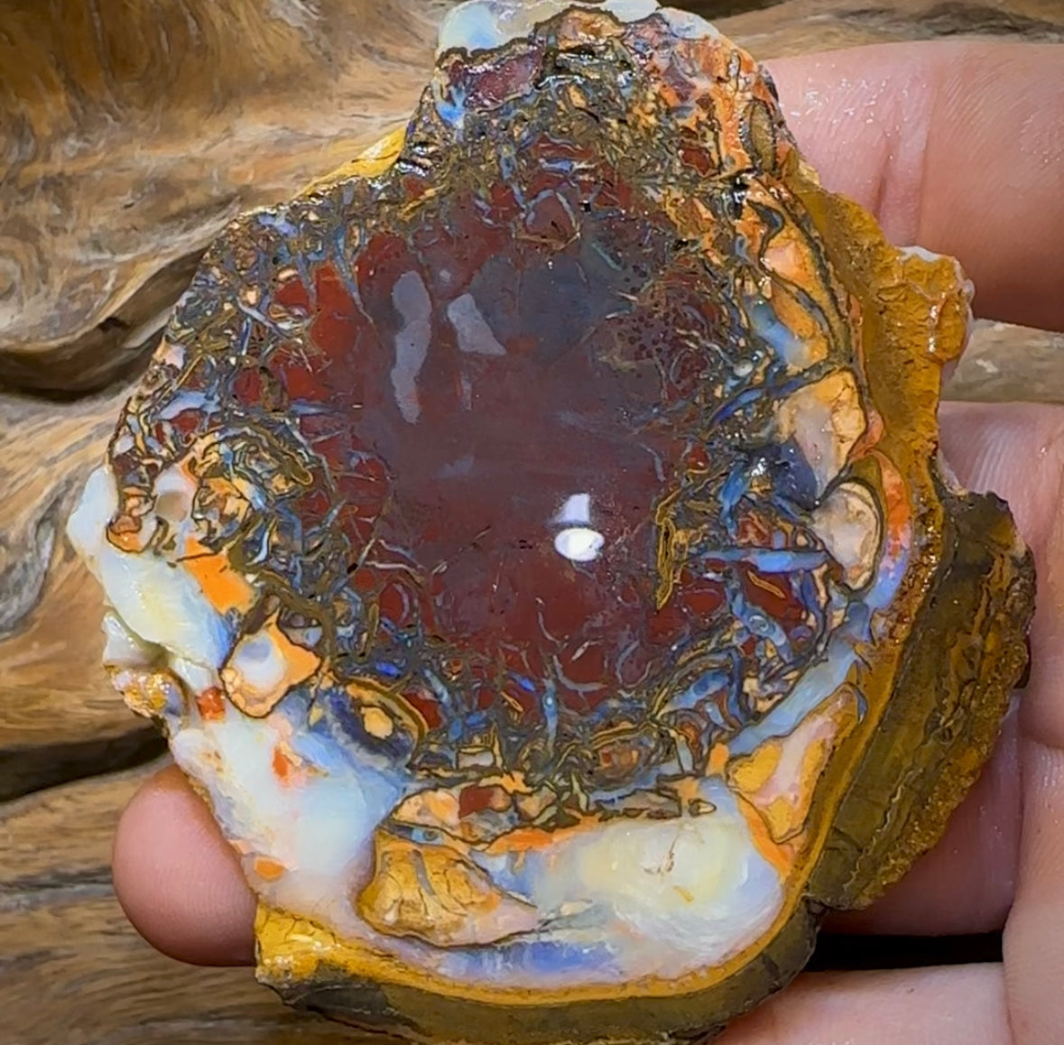 (Template) 477.8cts - Yowah Nut Rough Half. Australian Opal - Opal Whisperers