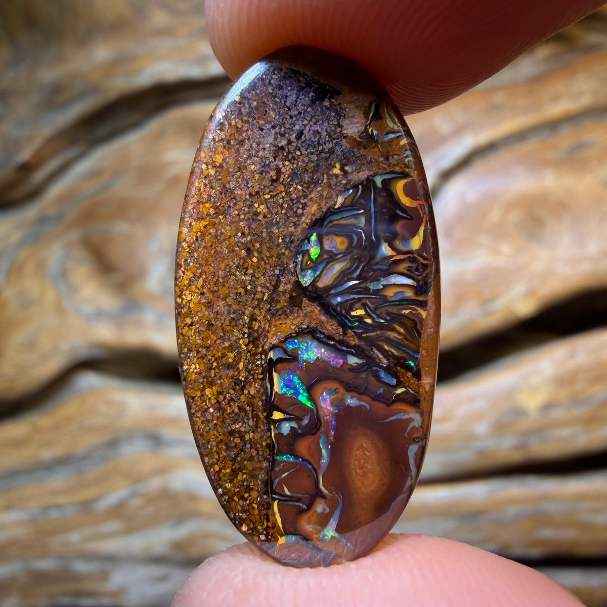 TGIF 14.9cts - “That’s Nuts!”Tribal Queensland Boulder Opal. Australian Opal