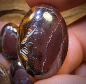 178.7cts - 5x Australian Boulder Opal’s. Wholesale Dealers Parcel