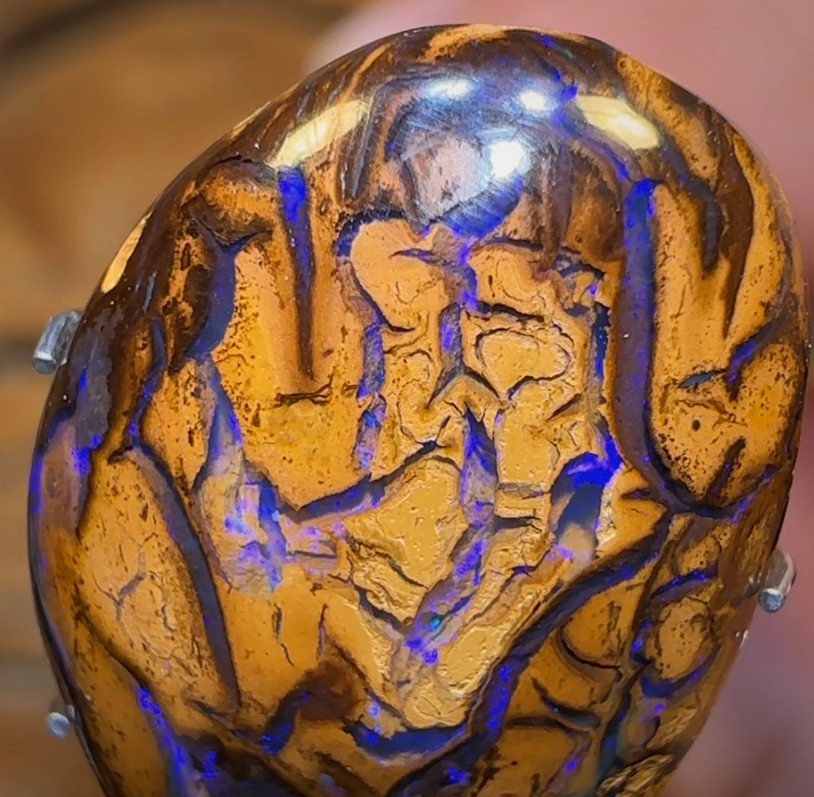 8,6 carats - Opale Boulder violette tribale du Queensland, une excellente affaire, de Yowah