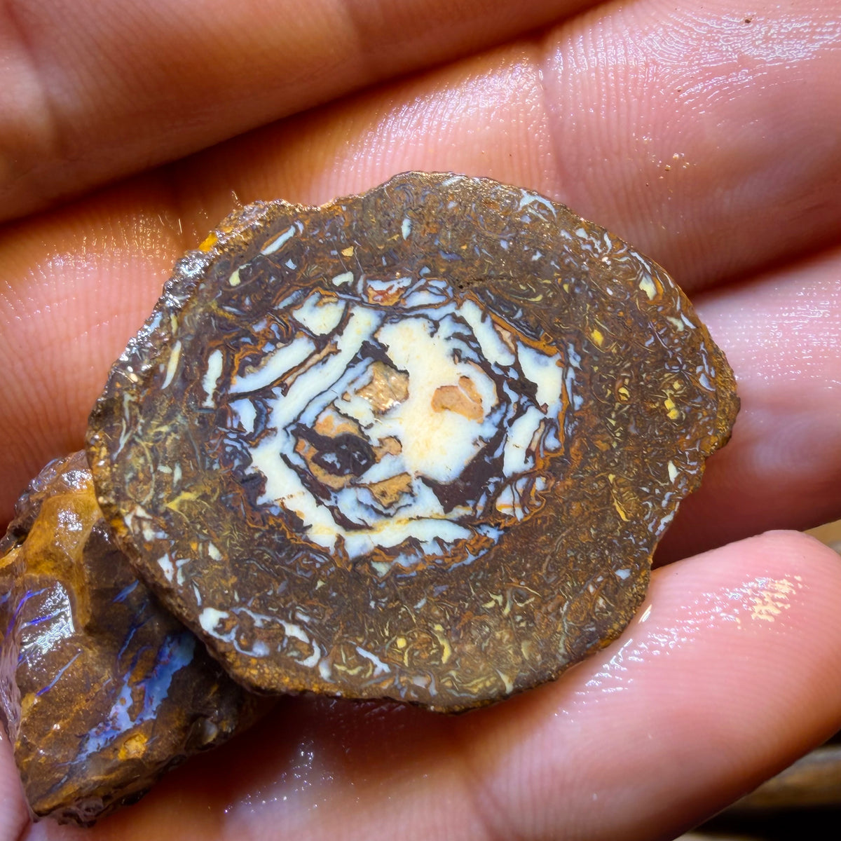 TGIF 307.3cts - 5x Yowah Nut Opal Rough Parcel. Australian Boulder Opal