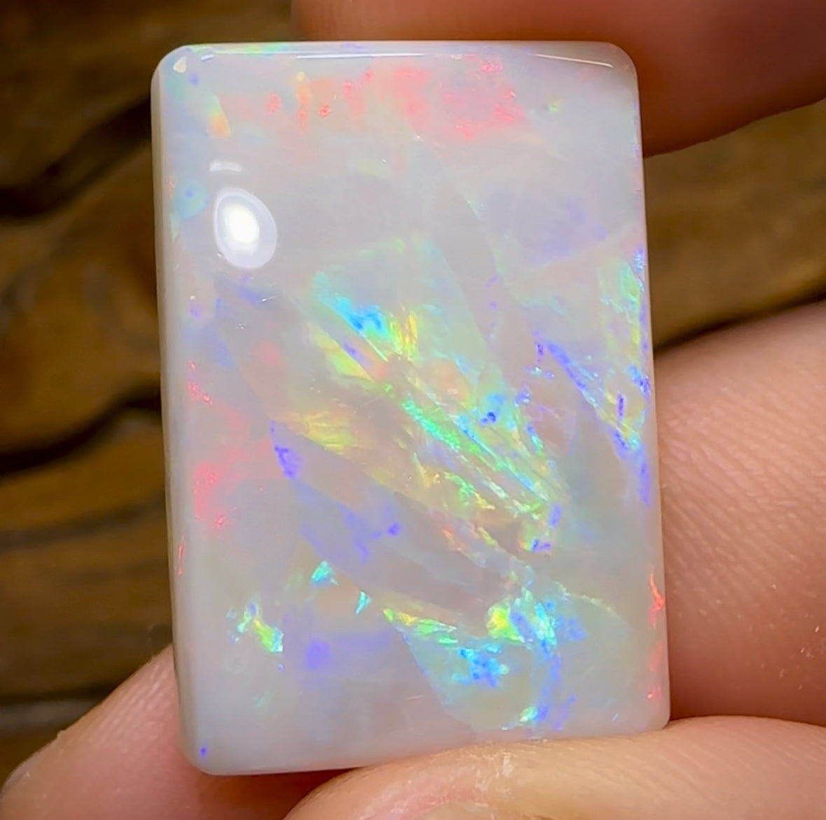 20.1cts  - Large Gem South Australian White Opal from Mintabie - Opal Whisperers