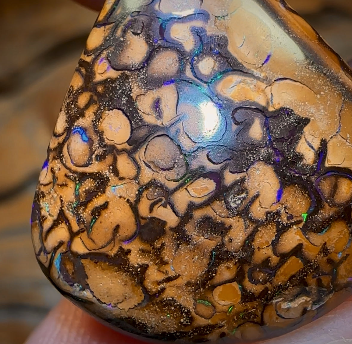 23.2cts - Tribal Australian Boulder Opal from Yowah