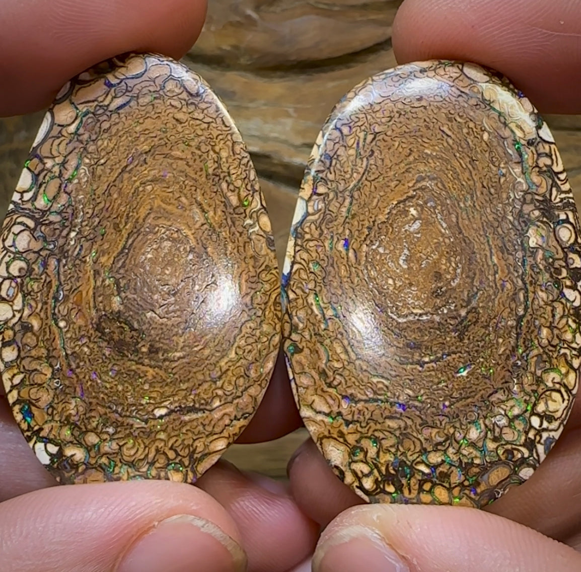 157.8cts - Yowah Nut Opal Matching Pair. Tribal Pattern - Opal Whisperers